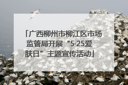 广西柳州市柳江区市场监管局开展“5·25爱肤日”主题宣传活动