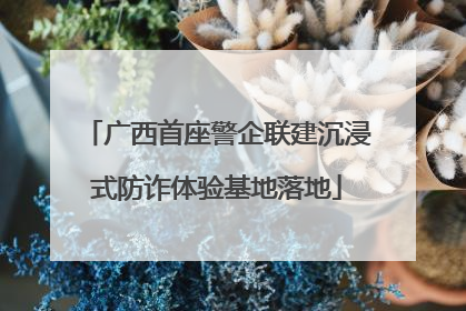 广西首座警企联建沉浸式防诈体验基地落地