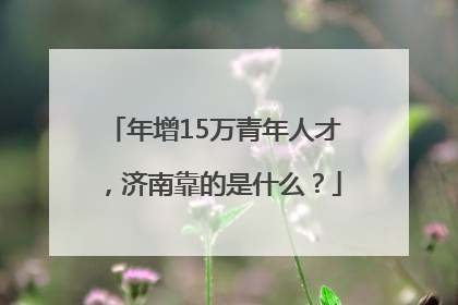 年增15万青年人才，济南靠的是什么？