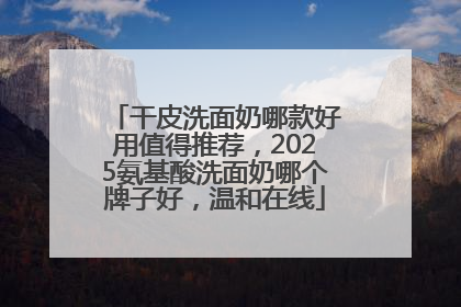 干皮洗面奶哪款好用值得推荐，2025氨基酸洗面奶哪个牌子好，温和在线