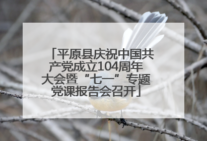 平原县庆祝中国共产党成立104周年大会暨“七一”专题党课报告会召开