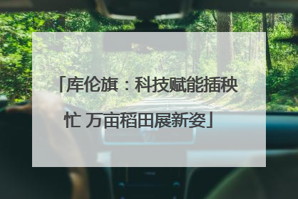 库伦旗：科技赋能插秧忙 万亩稻田展新姿