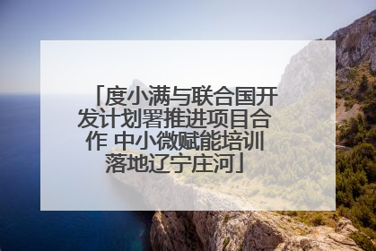 度小满与联合国开发计划署推进项目合作 中小微赋能培训落地辽宁庄河