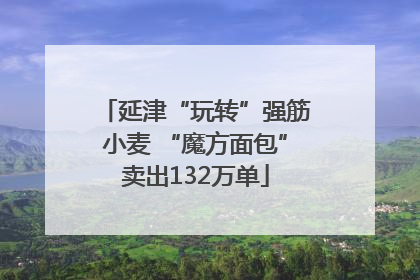 延津“玩转”强筋小麦 “魔方面包”卖出132万单