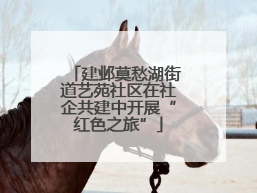 建邺莫愁湖街道艺苑社区在社企共建中开展“红色之旅”