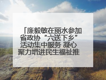 廉毅敏在丽水参加省政协“六送下乡”活动集中服务 凝心聚力增进民生福祉推进共同富裕