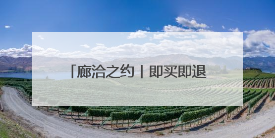 廊洽之约丨即买即退！廊坊离境退税服务端口亮相廊坊经洽会