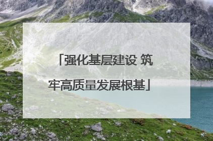 强化基层建设 筑牢高质量发展根基