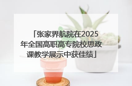 张家界航院在2025年全国高职高专院校思政课教学展示中获佳绩