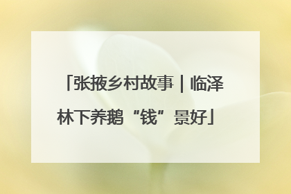 张掖乡村故事｜临泽林下养鹅“钱”景好