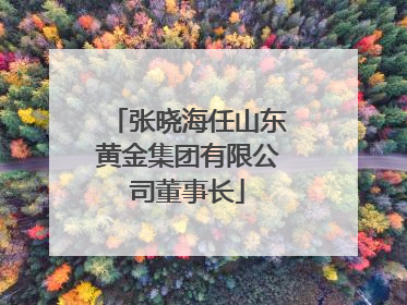 张晓海任山东黄金集团有限公司董事长