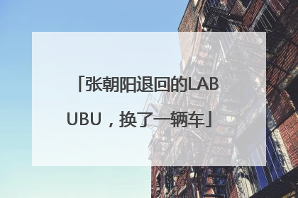 张朝阳退回的LABUBU，换了一辆车