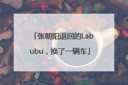 张朝阳退回的Labubu，换了一辆车