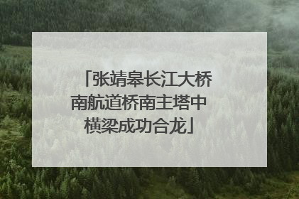 张靖皋长江大桥南航道桥南主塔中横梁成功合龙