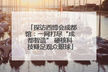 探访西博会成都馆：一网打尽“成都智造” 硬核科技赚足观众眼球