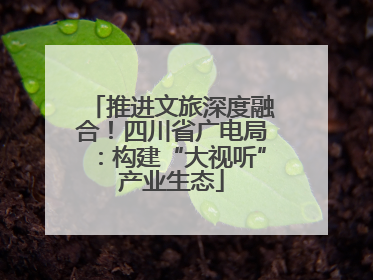 推进文旅深度融合！四川省广电局：构建“大视听”产业生态