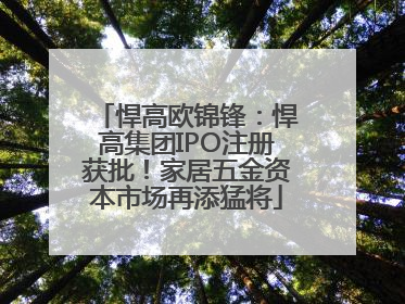悍高欧锦锋：悍高集团IPO注册获批！家居五金资本市场再添猛将