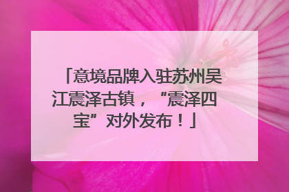 意境品牌入驻苏州吴江震泽古镇，“震泽四宝”对外发布！
