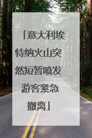 意大利埃特纳火山突然短暂喷发 游客紧急撤离