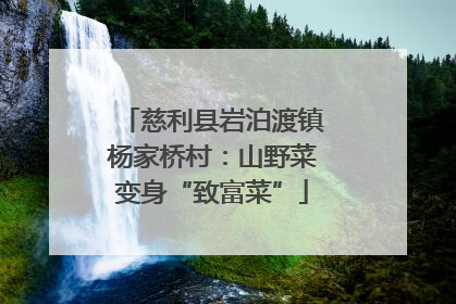 慈利县岩泊渡镇杨家桥村：山野菜变身“致富菜”