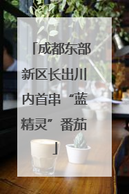 成都东部新区长出川内首串“蓝精灵”番茄