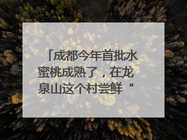 成都今年首批水蜜桃成熟了，在龙泉山这个村尝鲜“第一口”｜寻找和美乡村推荐官