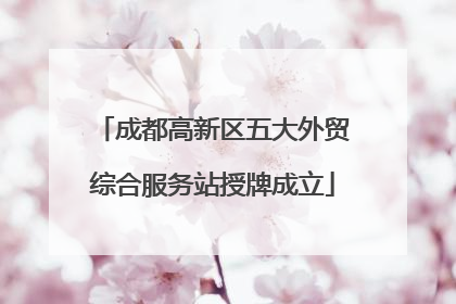 成都高新区五大外贸综合服务站授牌成立