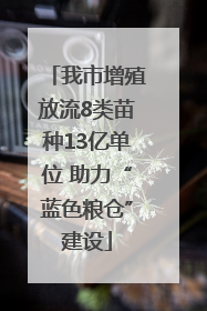我市增殖放流8类苗种13亿单位 助力“蓝色粮仓”建设