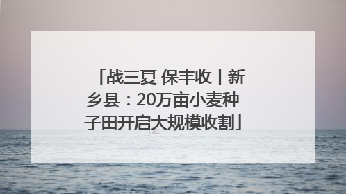 战三夏 保丰收丨新乡县：20万亩小麦种子田开启大规模收割