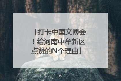 打卡中国文博会！给河南中牟新区点赞的N个理由