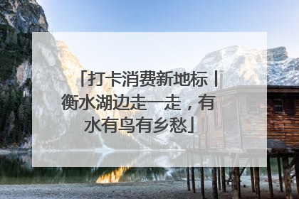 打卡消费新地标丨衡水湖边走一走，有水有鸟有乡愁
