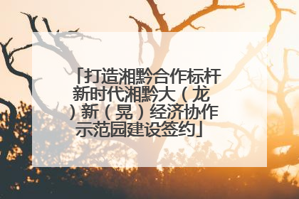 打造湘黔合作标杆 新时代湘黔大（龙）新（晃）经济协作示范园建设签约