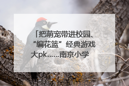 把萌宠带进校园、“编花篮”经典游戏大pk……南京小学花式“庆六一”