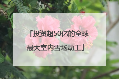 投资超50亿的全球最大室内雪场动工