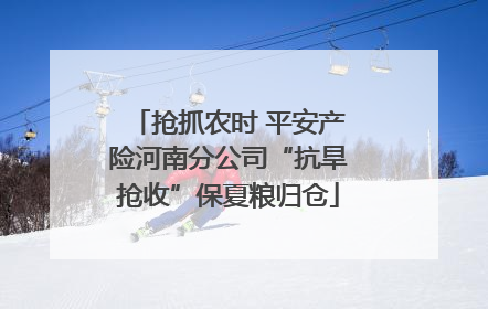 抢抓农时 平安产险河南分公司“抗旱抢收”保夏粮归仓