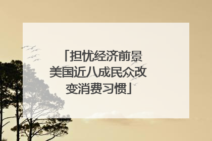 担忧经济前景 美国近八成民众改变消费习惯