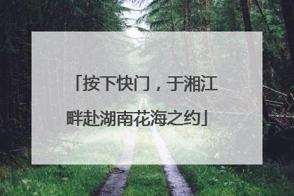 按下快门，于湘江畔赴湖南花海之约
