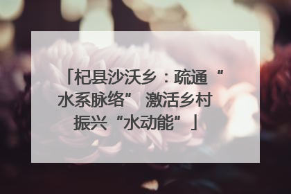 杞县沙沃乡：疏通“水系脉络” 激活乡村振兴“水动能”