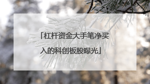 杠杆资金大手笔净买入的科创板股曝光