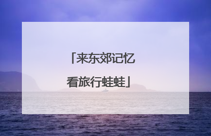 来东郊记忆 看旅行蛙蛙