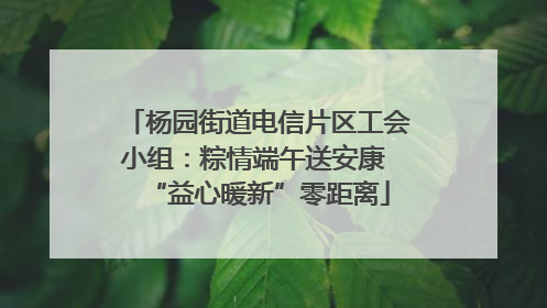杨园街道电信片区工会小组：粽情端午送安康 “益心暖新”零距离