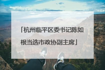 杭州临平区委书记陈如根当选市政协副主席