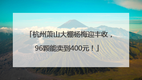 杭州萧山大棚杨梅迎丰收，96颗能卖到400元！
