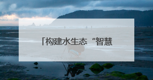 构建水生态“智慧网” 成都青羊“智能哨兵”上岗