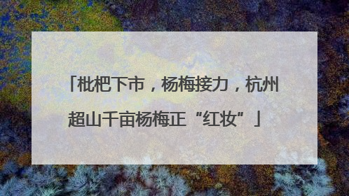 枇杷下市，杨梅接力，杭州超山千亩杨梅正“红妆”