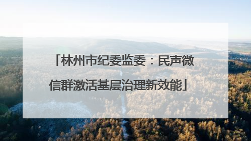 林州市纪委监委：民声微信群激活基层治理新效能