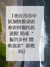 枣庄市市中区加快推动农业农村现代化进程 形成“振兴乡村 增收富农”新格局