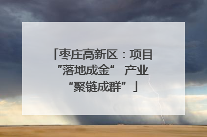 枣庄高新区：项目“落地成金” 产业“聚链成群”