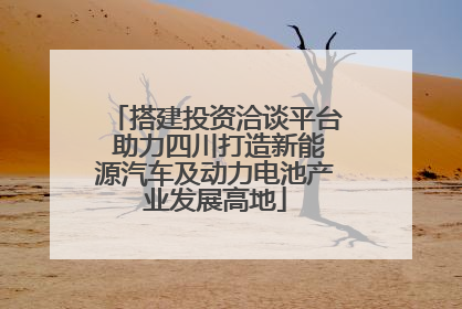 搭建投资洽谈平台 助力四川打造新能源汽车及动力电池产业发展高地