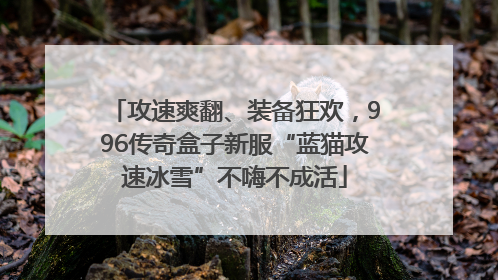 攻速爽翻、装备狂欢，996传奇盒子新服“蓝猫攻速冰雪”不嗨不成活